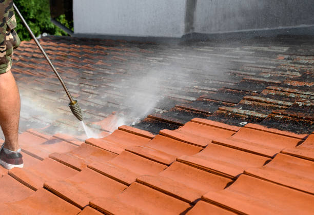 Roof Power Washing Services in Menahga, MN